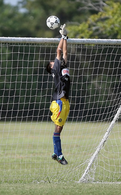 必赢在线官方网站